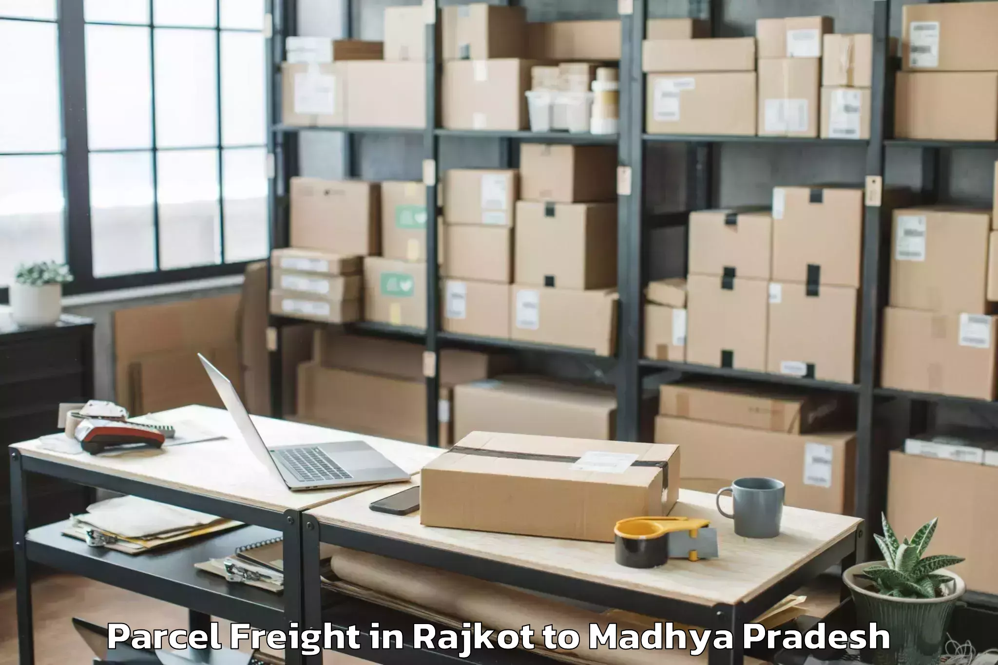 Expert Rajkot to Madhyanchal Professional Unive Parcel Freight